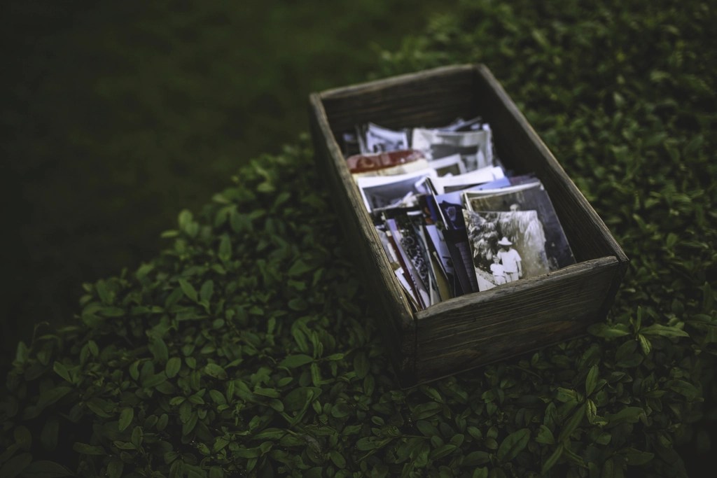 dark wooden box with stacks of old photographs on top of leafy hedge.