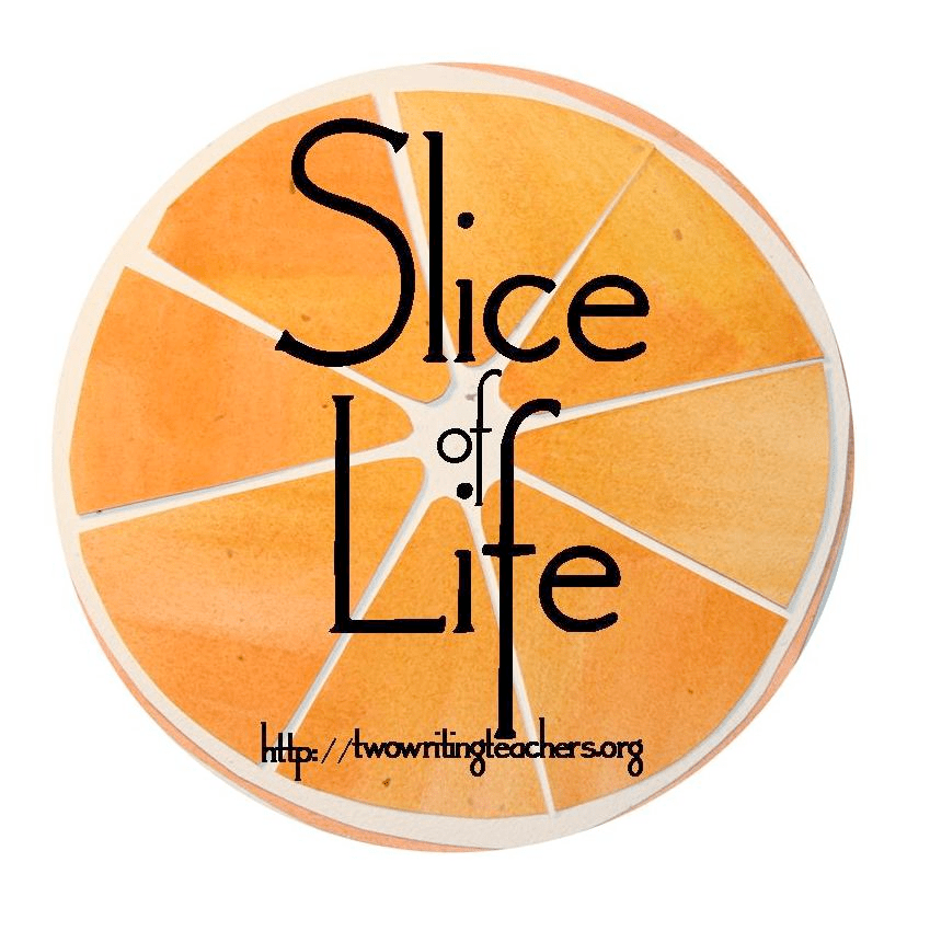 Bright drawing of cross section of an orange (the fruit) with Slice of Life in large slim lettering printed on it.